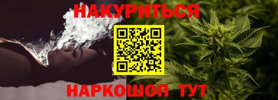сатива Аша