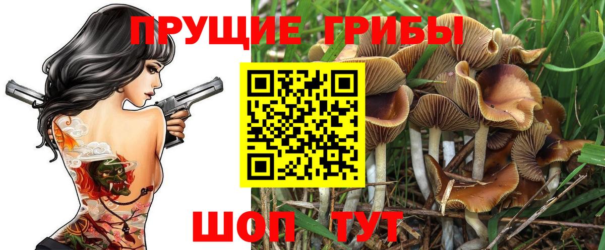 Благодарный  Галлюциногенные грибы ЛСД  Вход с VPN  сколько стоит  Псилоцибиновые грибы мухоморы 
