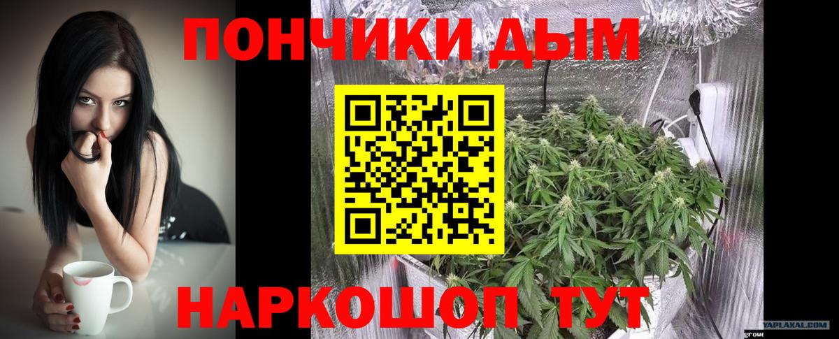 Бошки марихуана VHQ  Каннабис AK-47  Благодарный  Бошки Шишки AK-47  Вход с VPN 