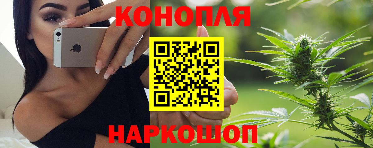 Бошки марихуана AK-47 Благодарный